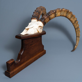 Een imposante jachttrofee van een steenbok op een houten drager, 20ste eeuw