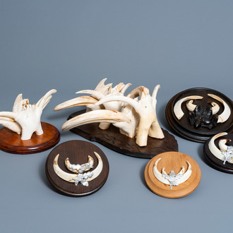 A varied collection of hunting trophies of a common warthog and a European wild boar, 20th C.