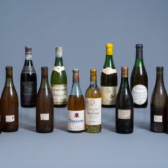 A varied collection of fourtheen bottles of French wine, mainly 1970's