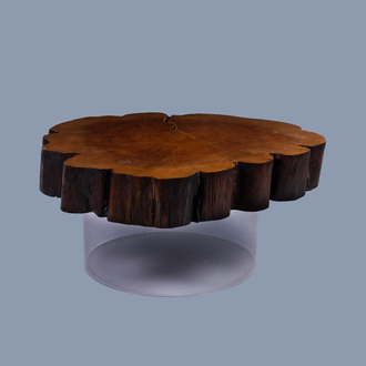 A Joaquim Tenreiro style tree trunk coffee table on a plexi base, third quarter of the 20th C.