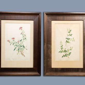 Chinese school, Canton: Two botanical paintings of wild roses and carnations, colours on paper, 19th C.